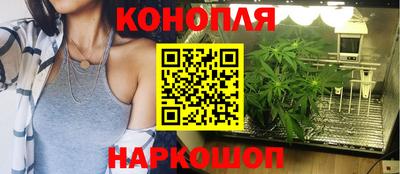 прущие крисы Новозыбков